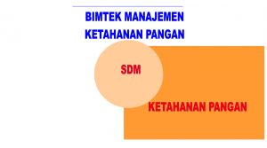 Bimtek Manajemen Ketahanan Pangan